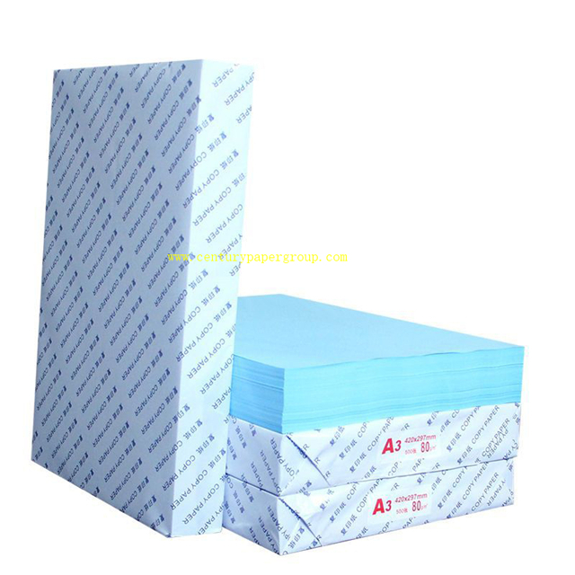 Рулон бумаги Blueprint для рисования и рисования ремесел