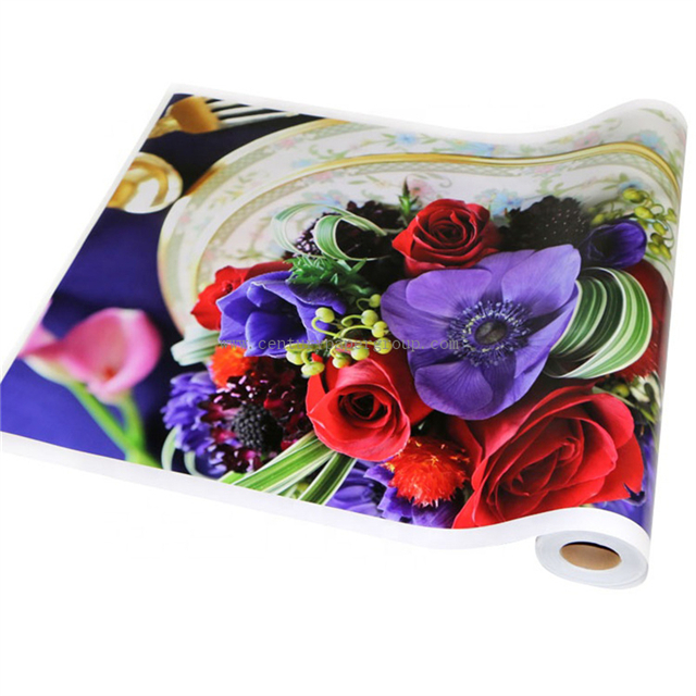 Самоклеящаяся виниловая пленка с сольвентными/экосольвентными чернилами для печати 